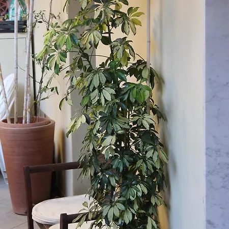 Апартаменты Les Agrumes *