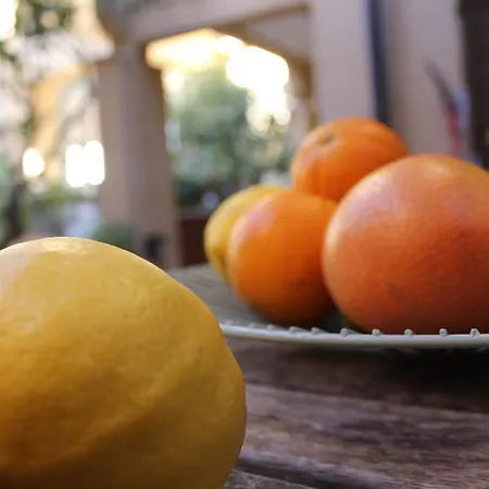 Lägenhet Les Agrumes