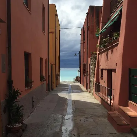 Les Agrumes Varigotti